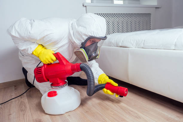 Professional Pest Control in North Belle Vernon, PA