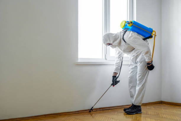 Best Local Pest Control Services  in North Belle Vernon, PA
