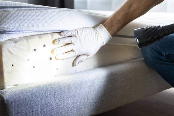 Best Cockroach Control Services  in North Belle Vernon, PA