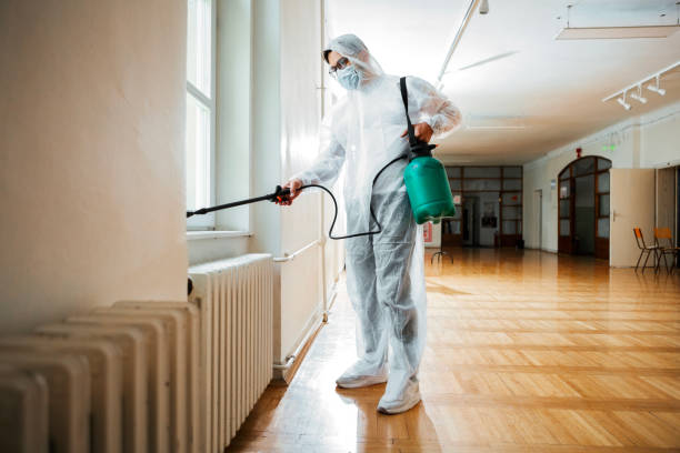 Insect Control in North Belle Vernon, PA