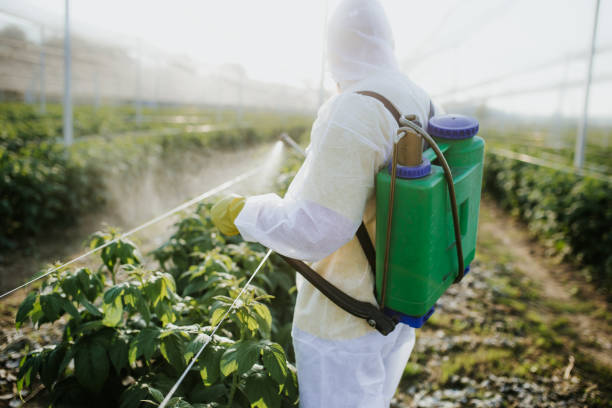 Best Best Pest Control Companies  in North Belle Vernon, PA